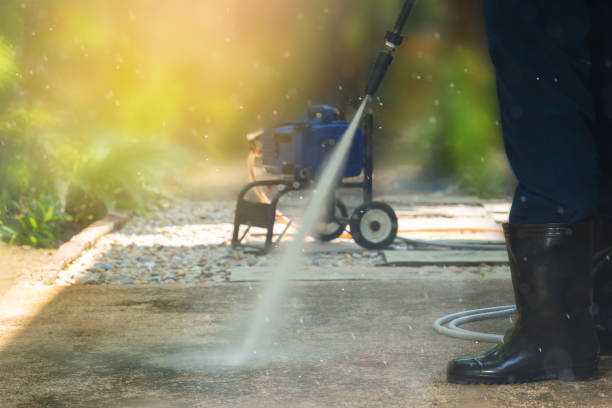 Best Driveway Pressure Washing  in , NM